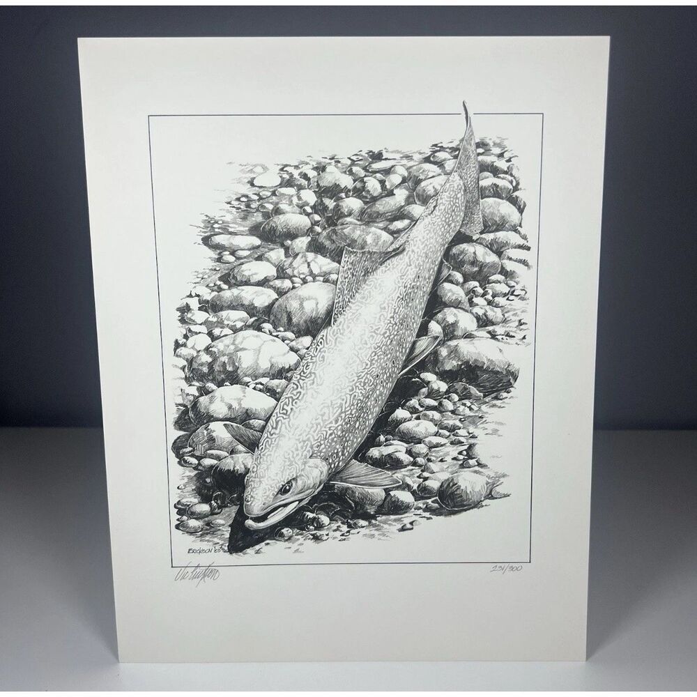 Susan’s Brookie Black And White Trout Print Limited Edition Of 300 Vic Erickson